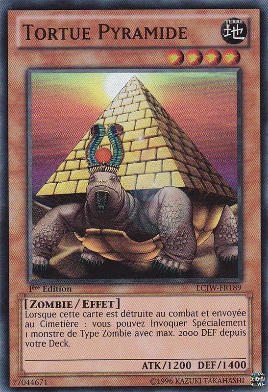 Pyramid Turtle
