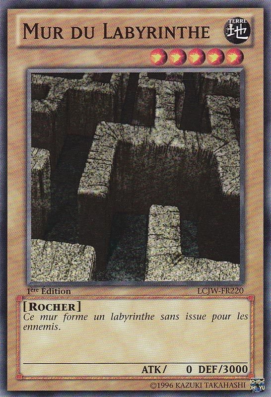 Labyrinth Wall