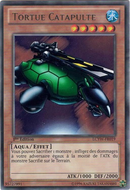 Catapult Turtle