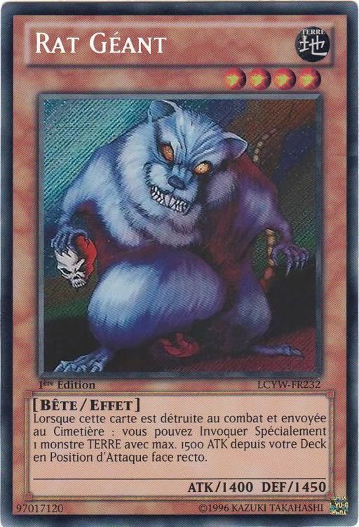 Giant Rat