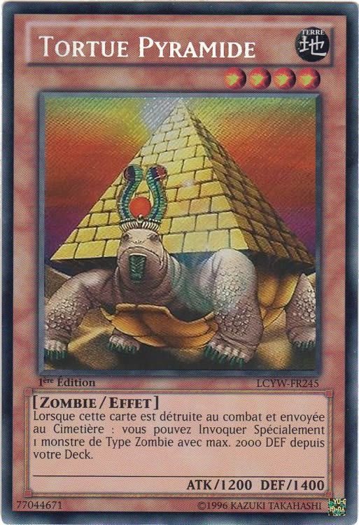 Pyramid Turtle