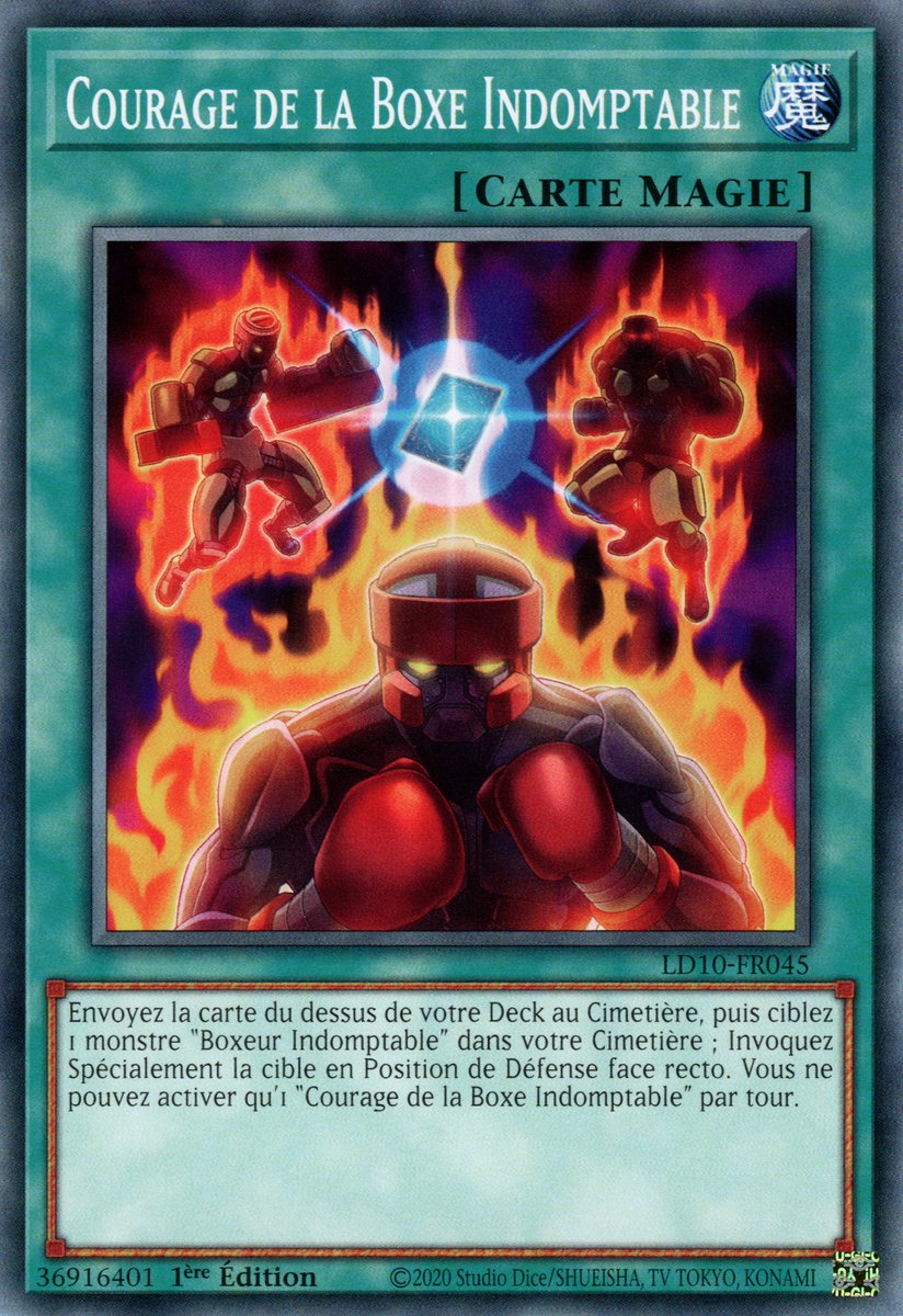 Courage de la Boxe Indomptable