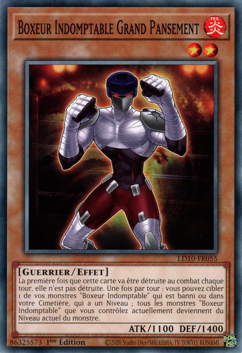 Boxeur Indomptable Grand Pansement