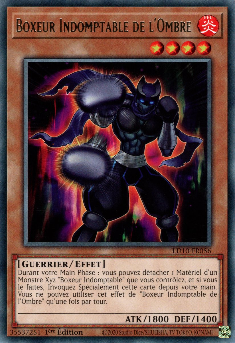 Boxeur Indomptable de l'Ombre
