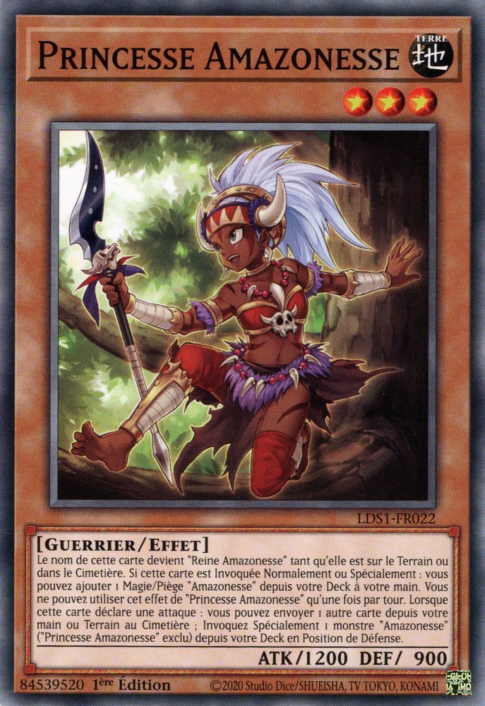 Amazoness Princess