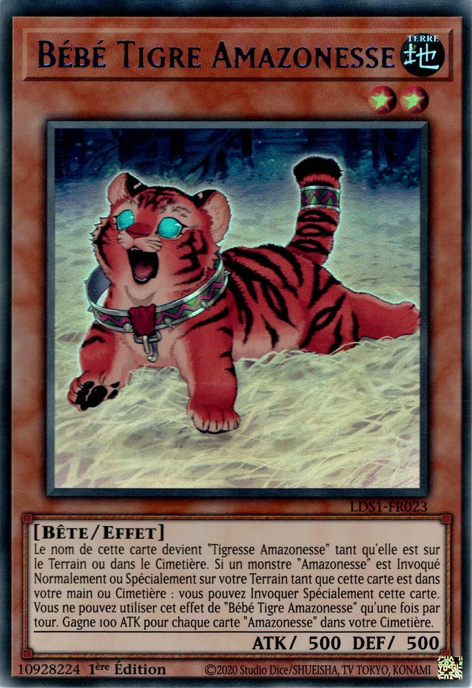 Amazoness Baby Tiger