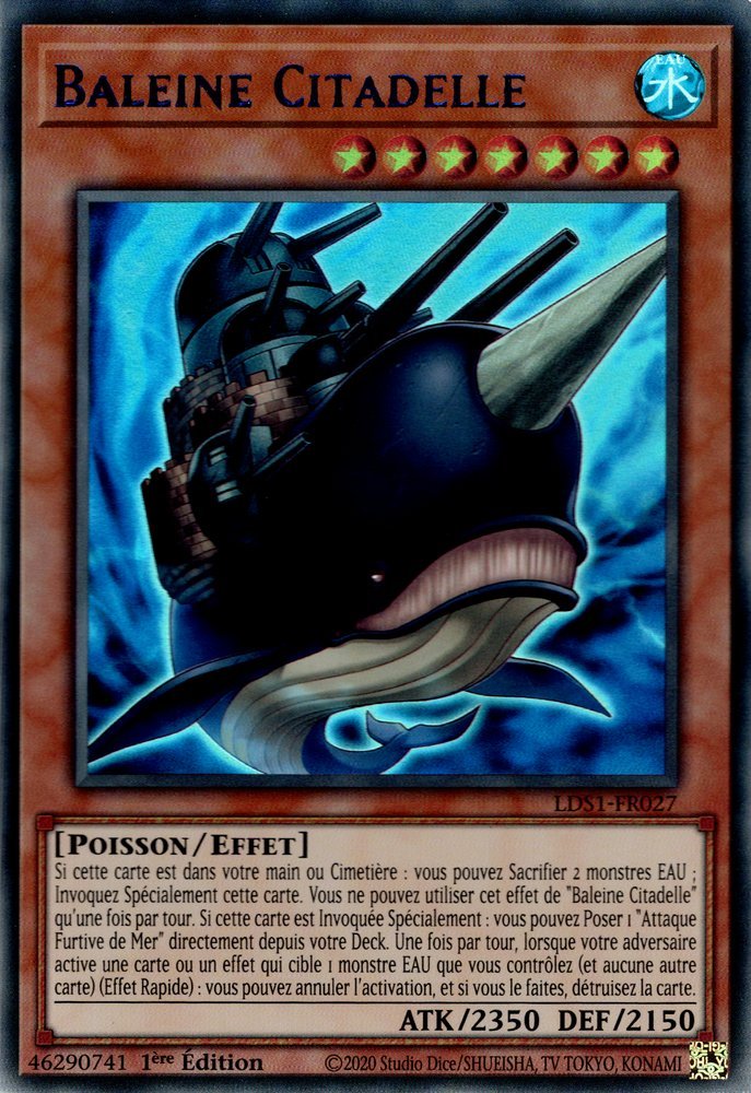 Citadel Whale