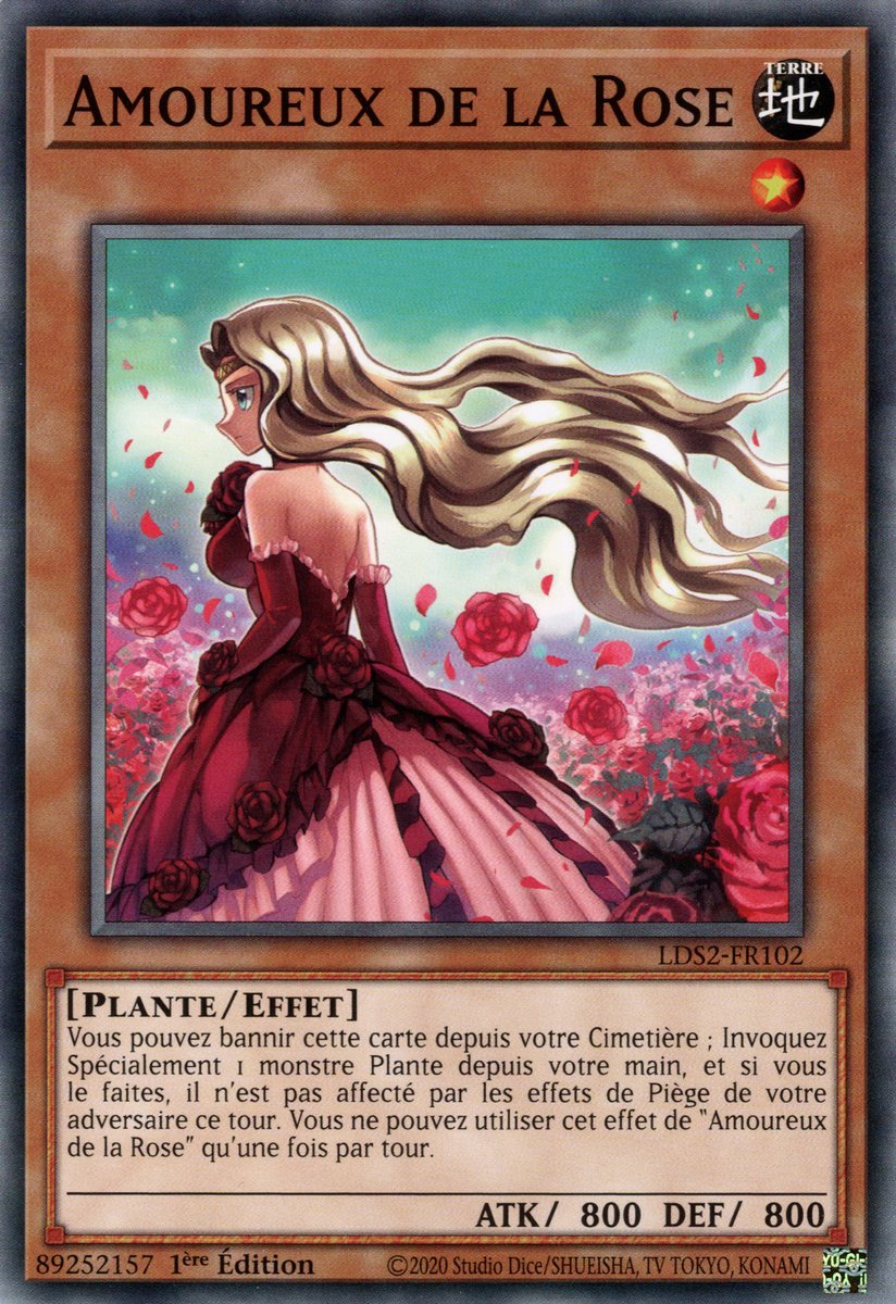 Rose Lover