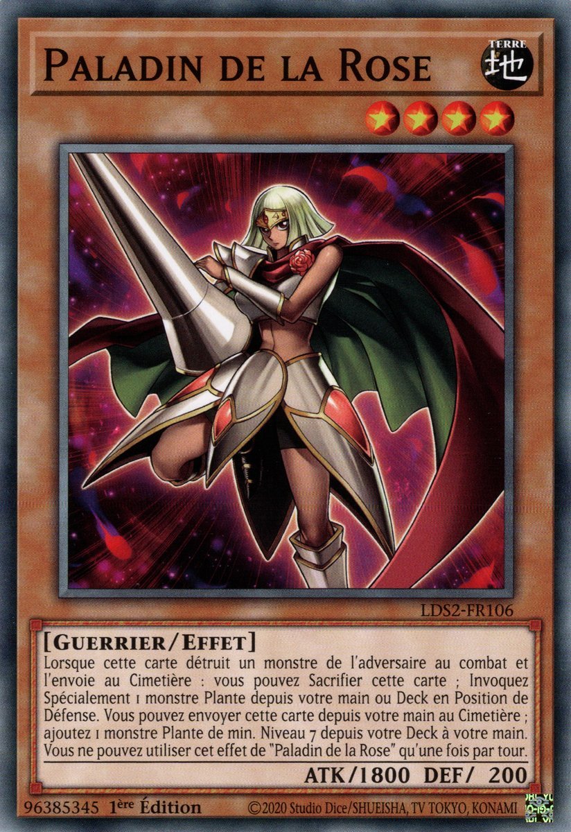 Rose Paladin