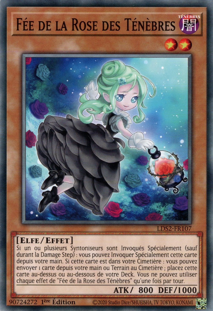 Dark Rose Fairy