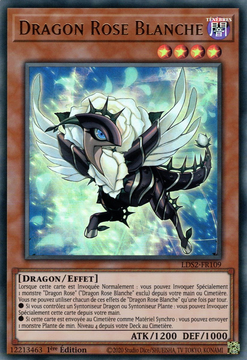 White Rose Dragon