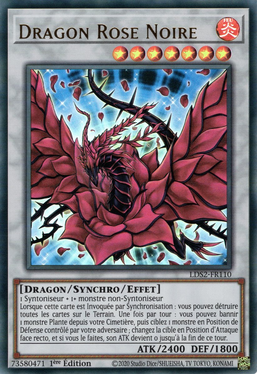 Black Rose Dragon