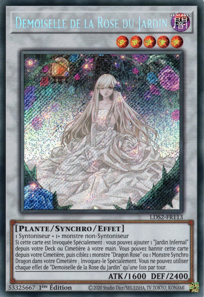 Garden Rose Maiden