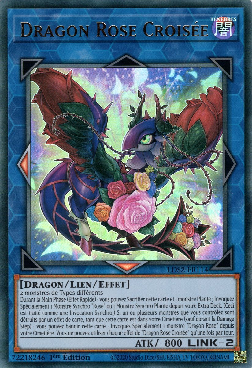 Crossrose Dragon