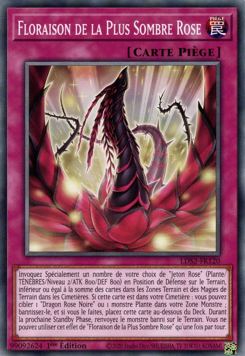 Blooming of the Darkest Rose