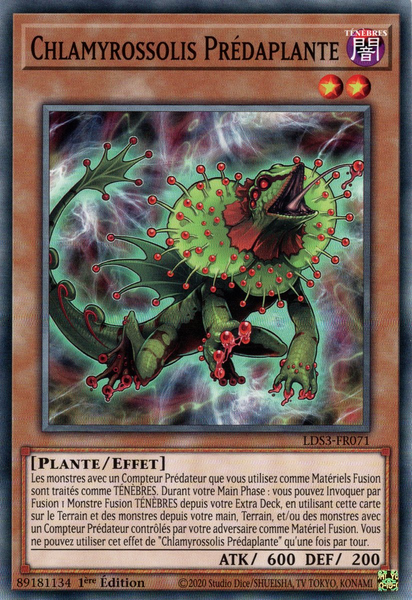 Predaplant Chlamydosundew