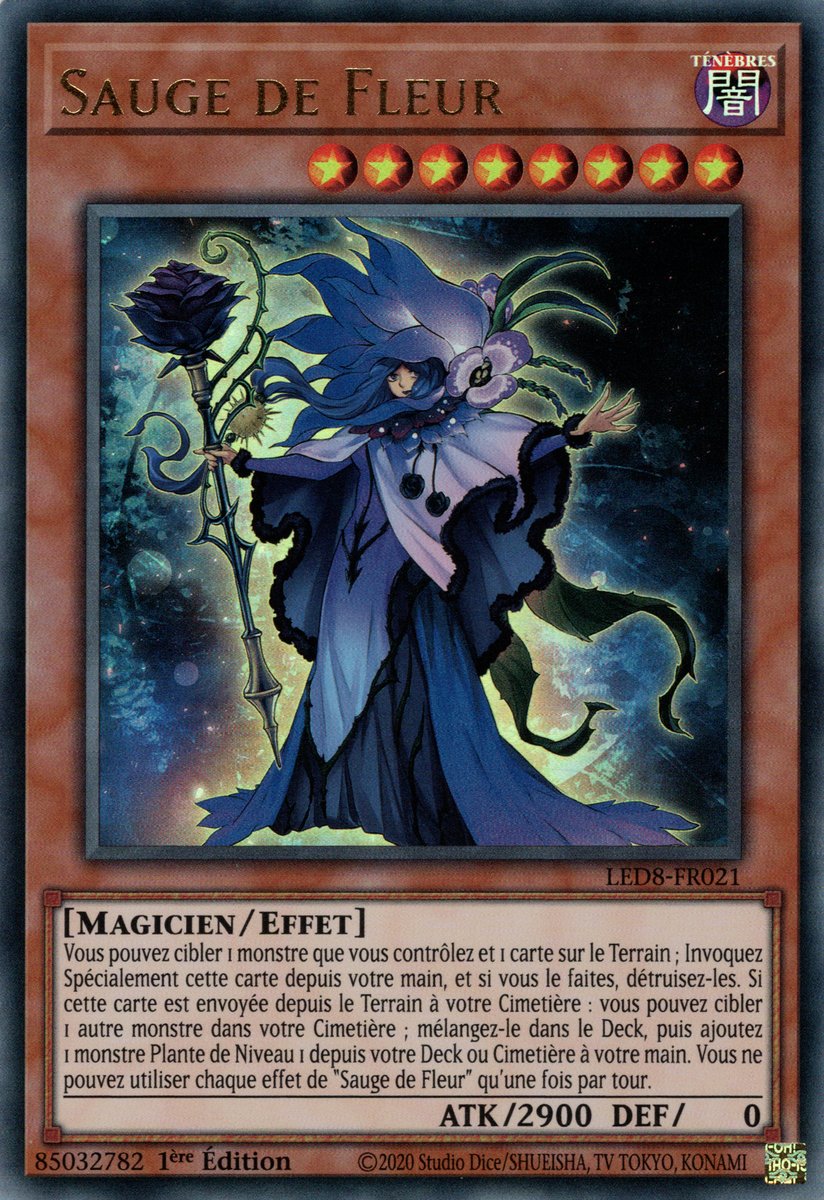 Sauge de Fleur