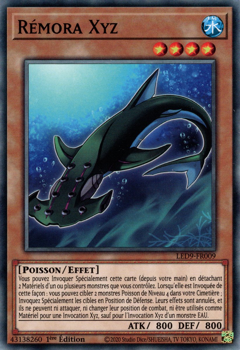 Remora Xyz