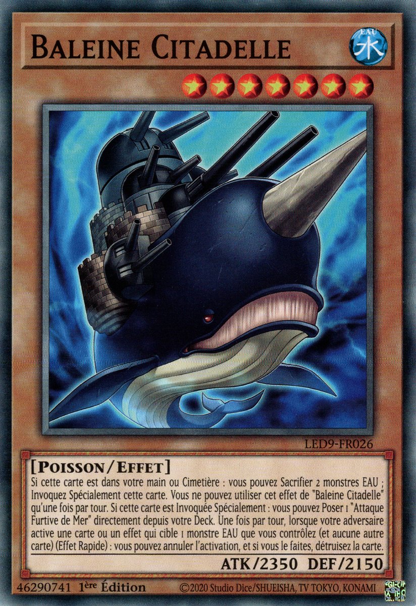 Baleine Citadelle