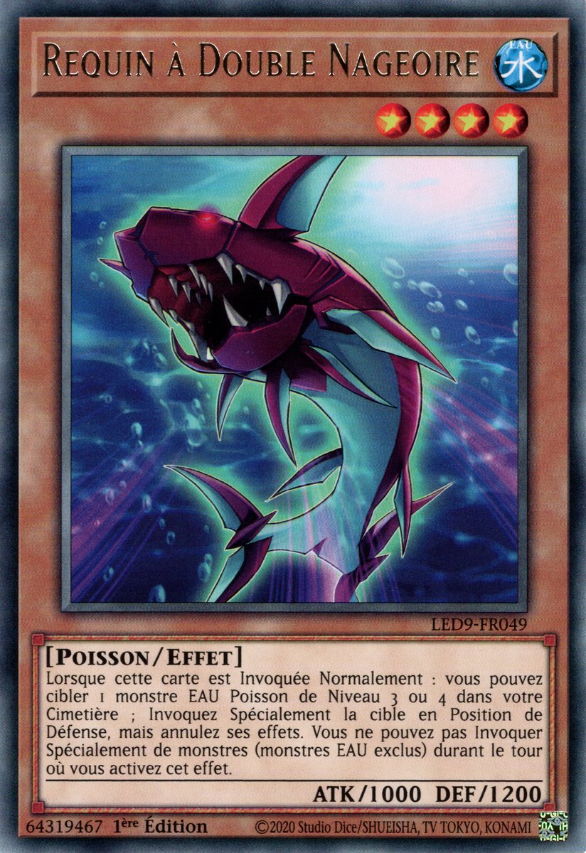 Requin à Double Nageoire