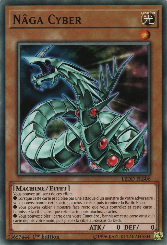 Naga Cyber