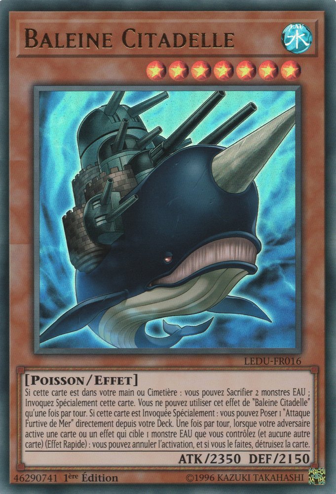 Baleine Citadelle