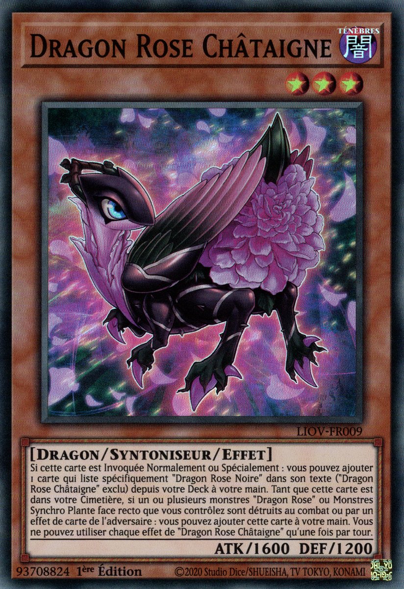 Dragon Rose Châtaigne
