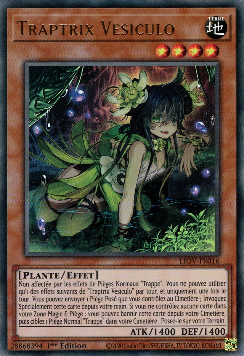 Traptrix Vesiculo