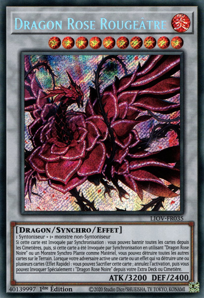Dragon rose Rougeâtre