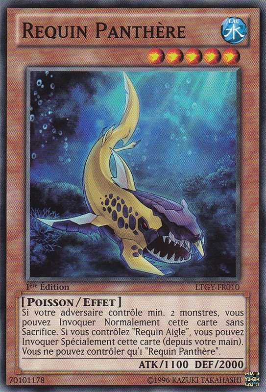 Panther Shark