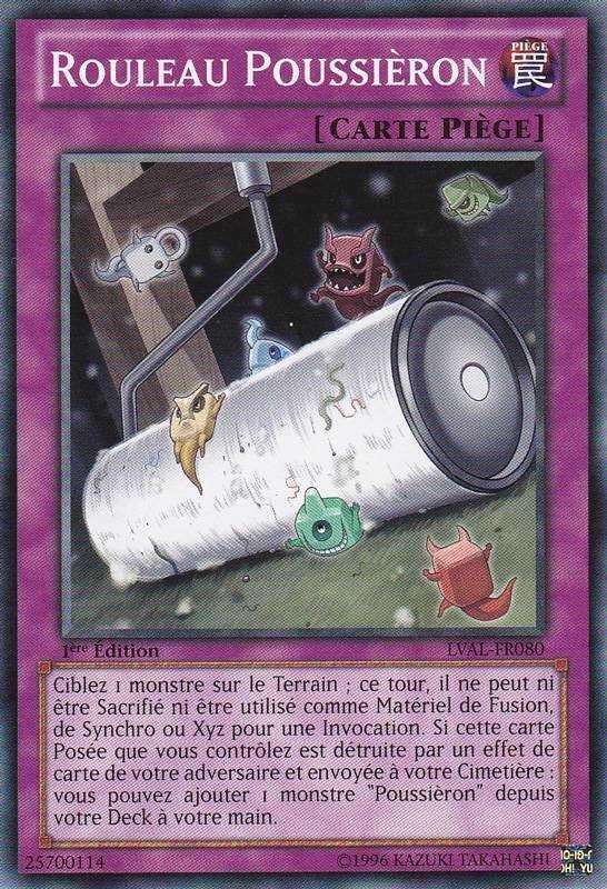 Rouleau Poussièron