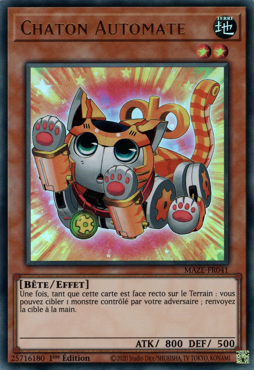 Chaton Automate