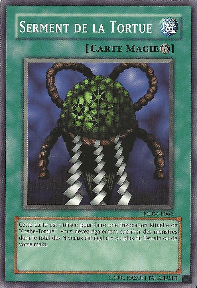 Turtle Oath