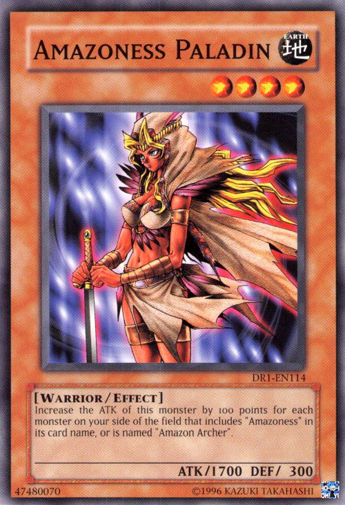 Paladin Amazonesse