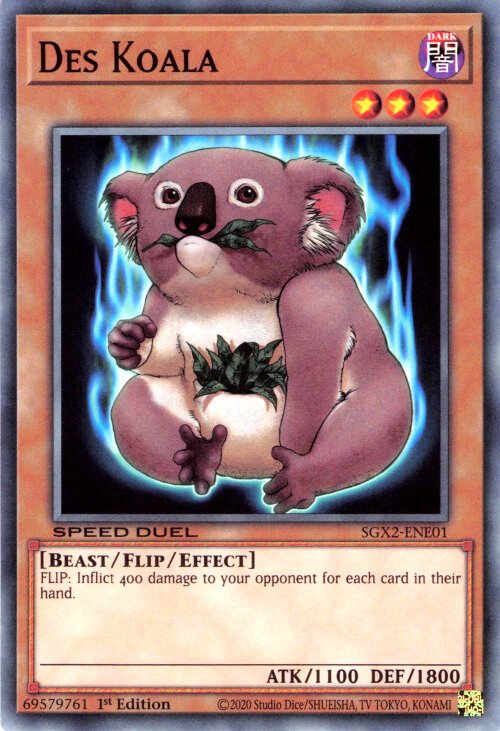 Koala Des