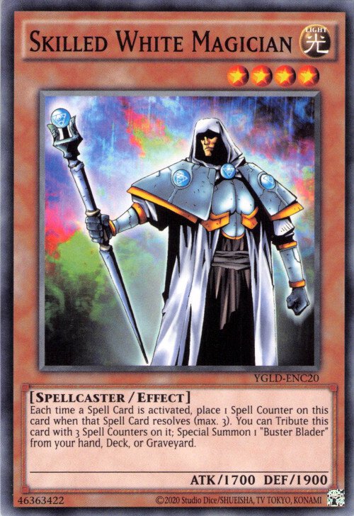Magicien Blanc Expérimenté