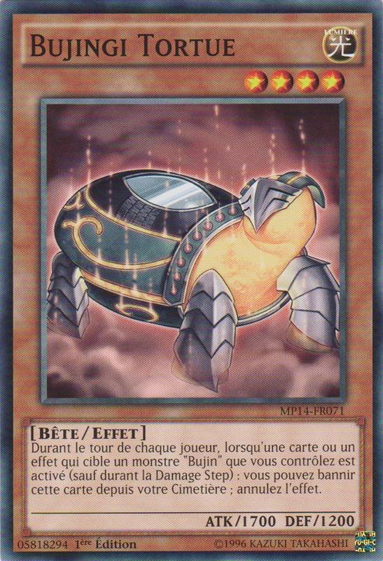 Bujingi Tortue