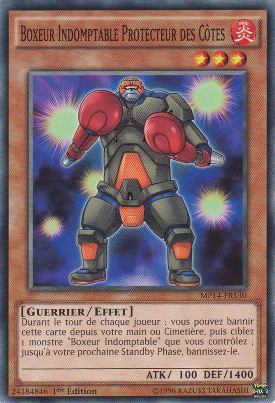 Boxeur Indomptable Protecteur des Côtes
