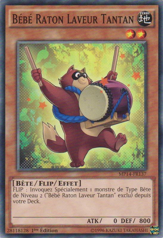 Bébé Raton Laveur Tantan