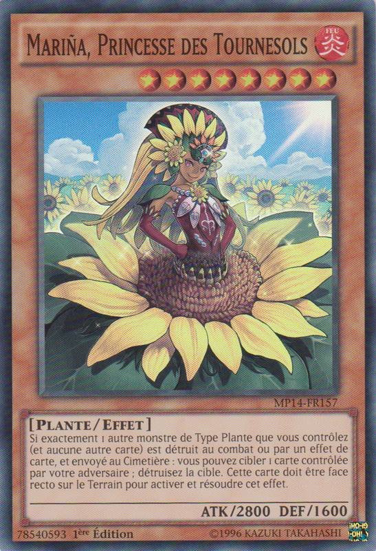 Mariña, Princesse des Tournesols