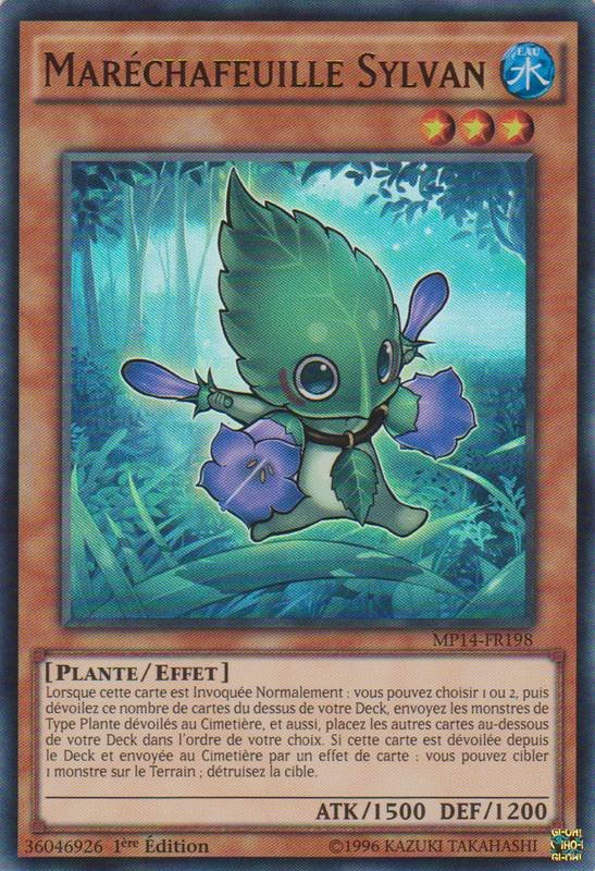 Maréchafeuille Sylvan