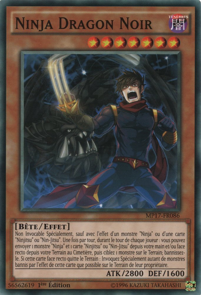 Ninja Dragon Noir