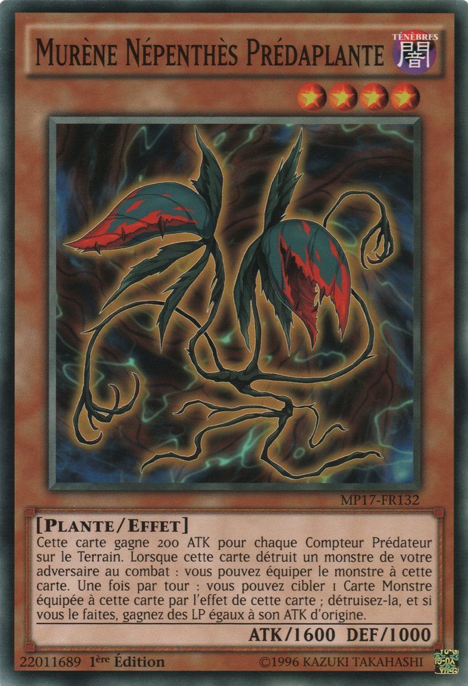 Murène Népenthès Prédaplante