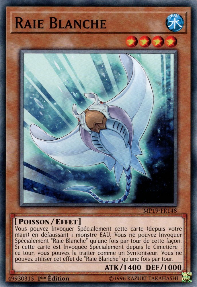 Raie Blanche