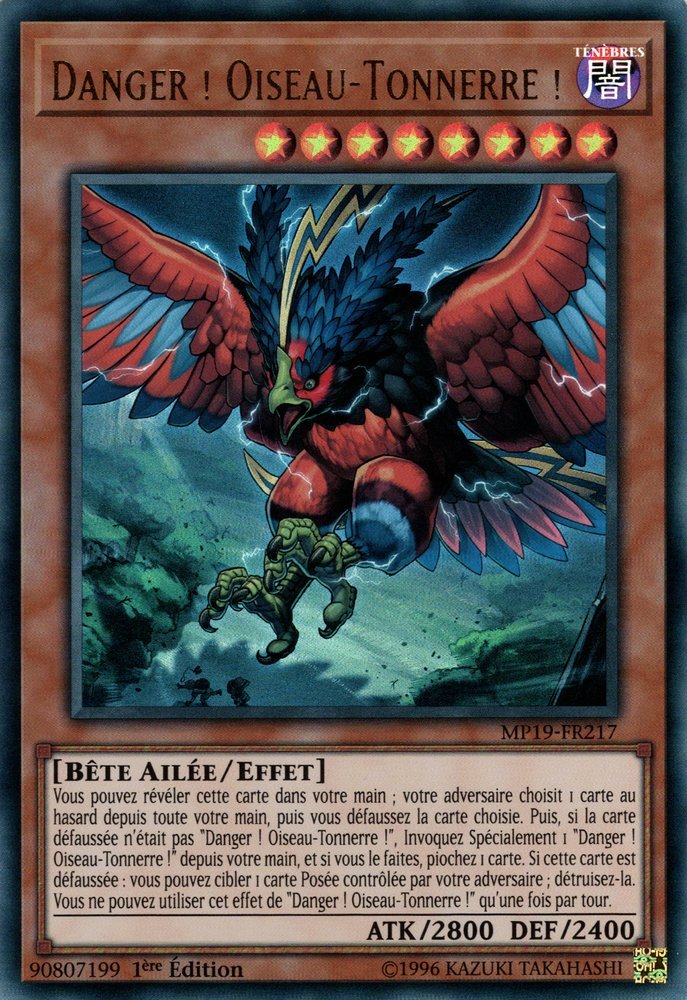 Danger ! Oiseau-Tonnerre !