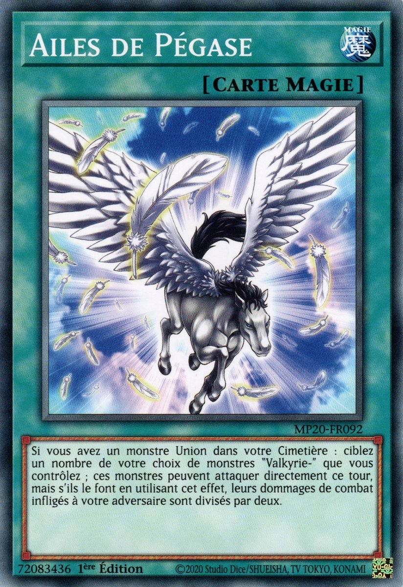 Pegasus Wing