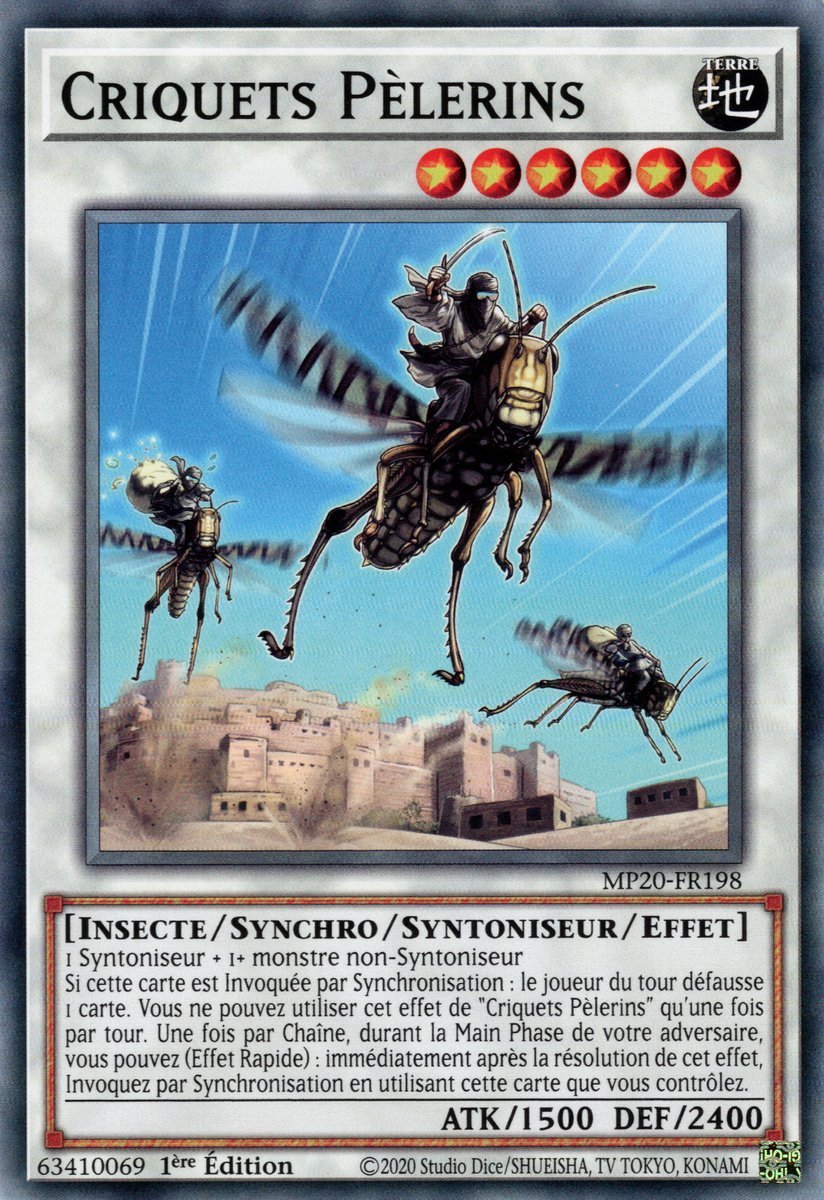 Desert Locusts