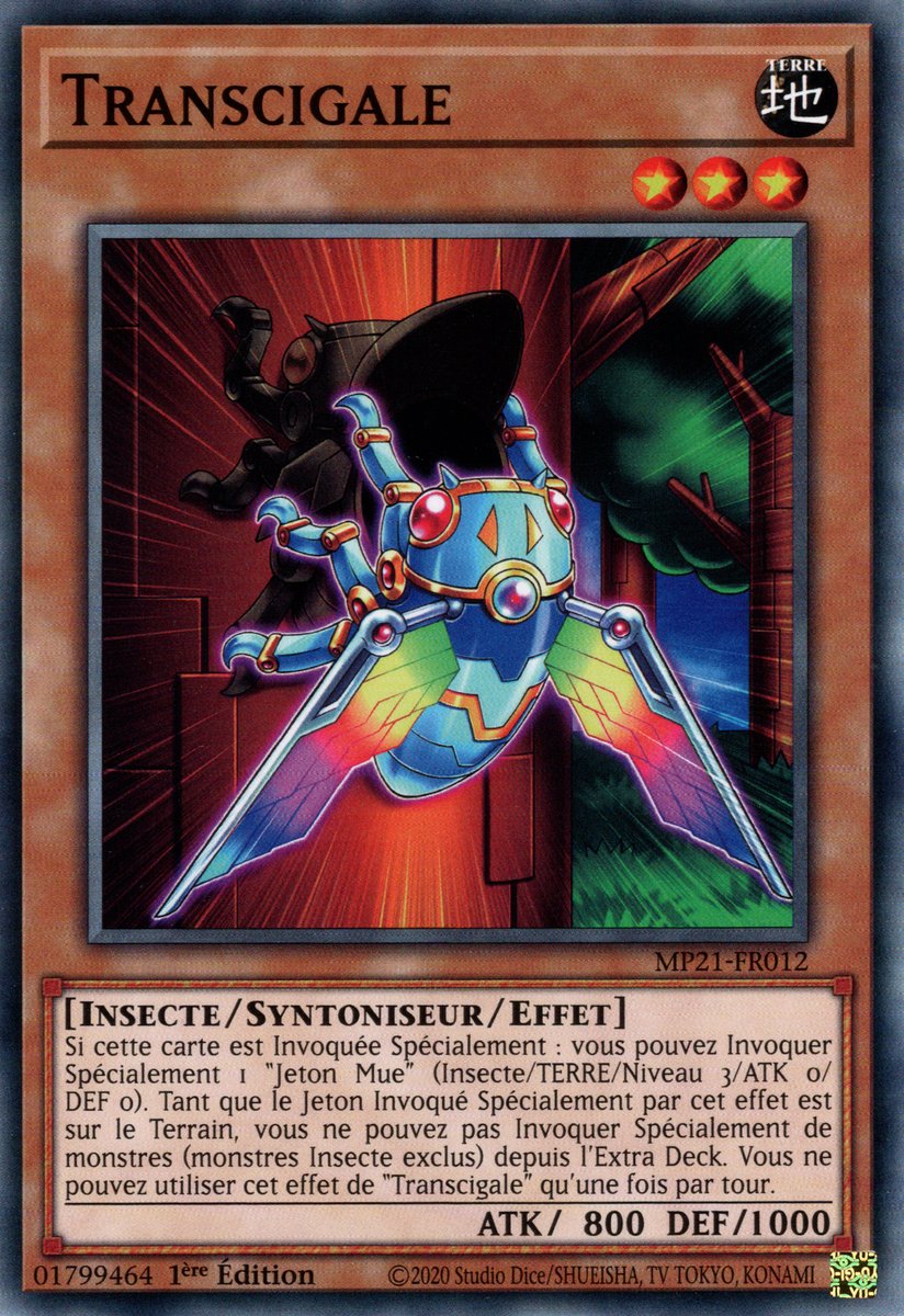 Transcicada