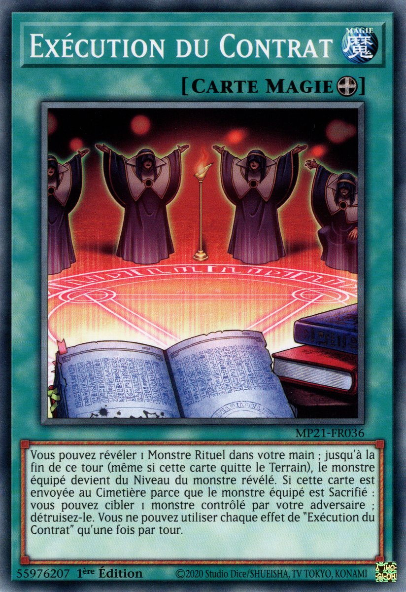 Execution of the Contract