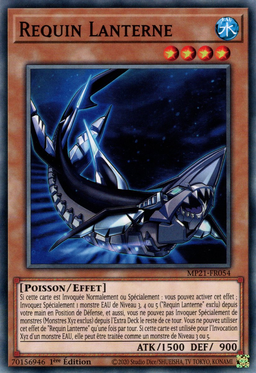 Lantern Shark